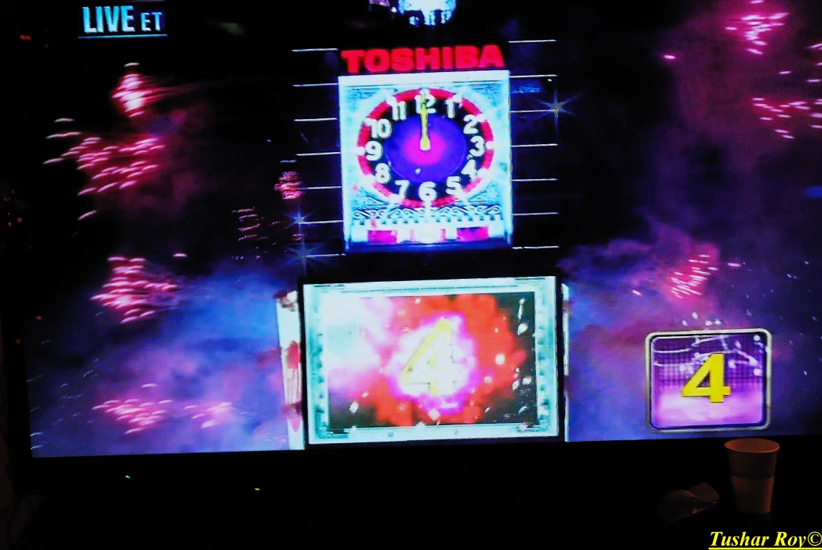 New Year+Saraswati Puja - 020.jpg